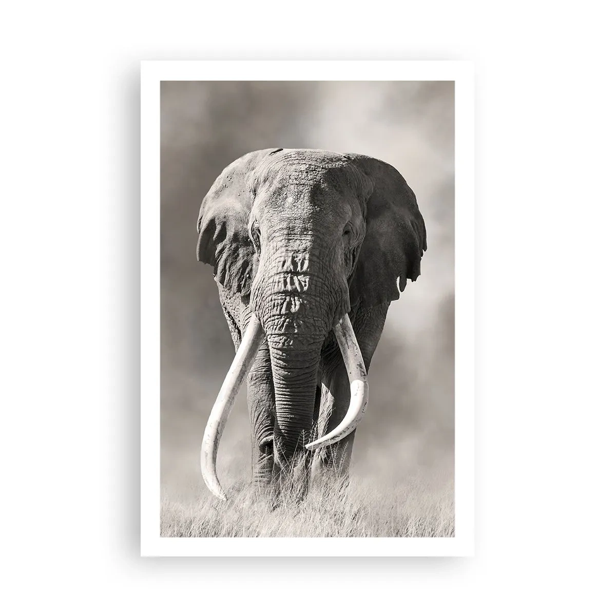 Poster - Afrikanischer Patriarch - 61x91 cm