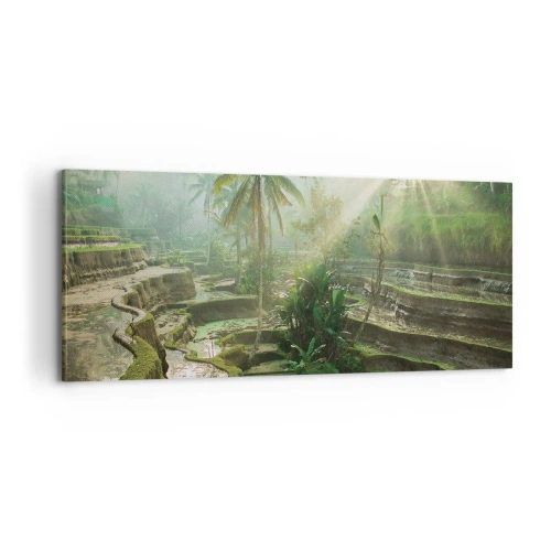 Bild auf Leinwand - Leinwandbild - In der Sonne aufwachsen - 100x40 cm