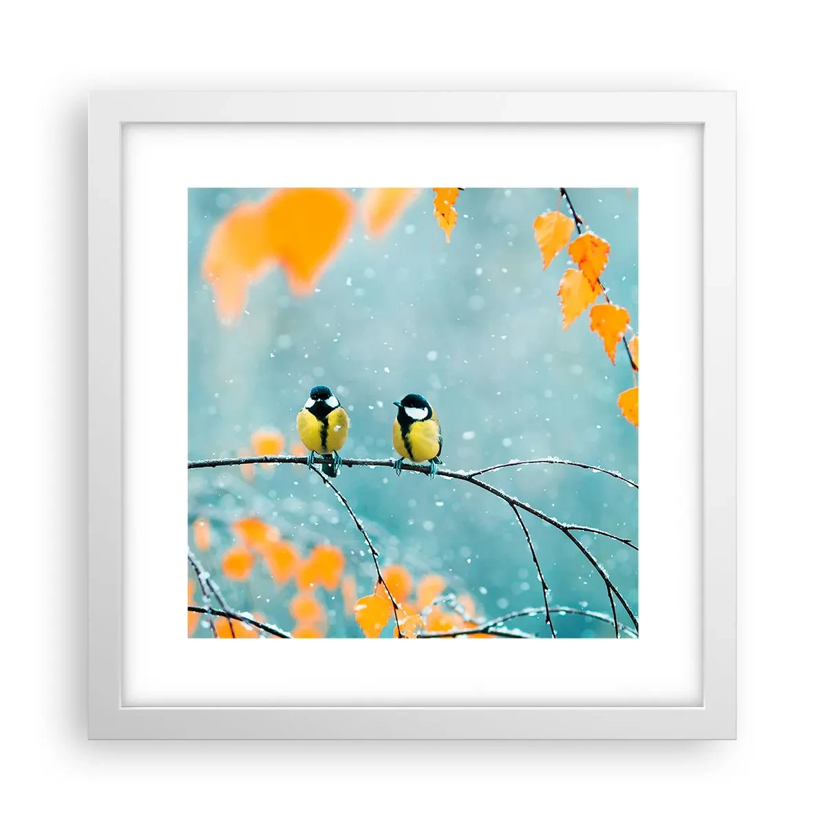 Poster in einem weißen Rahmen - Vogelklatsch - 30x30 cm