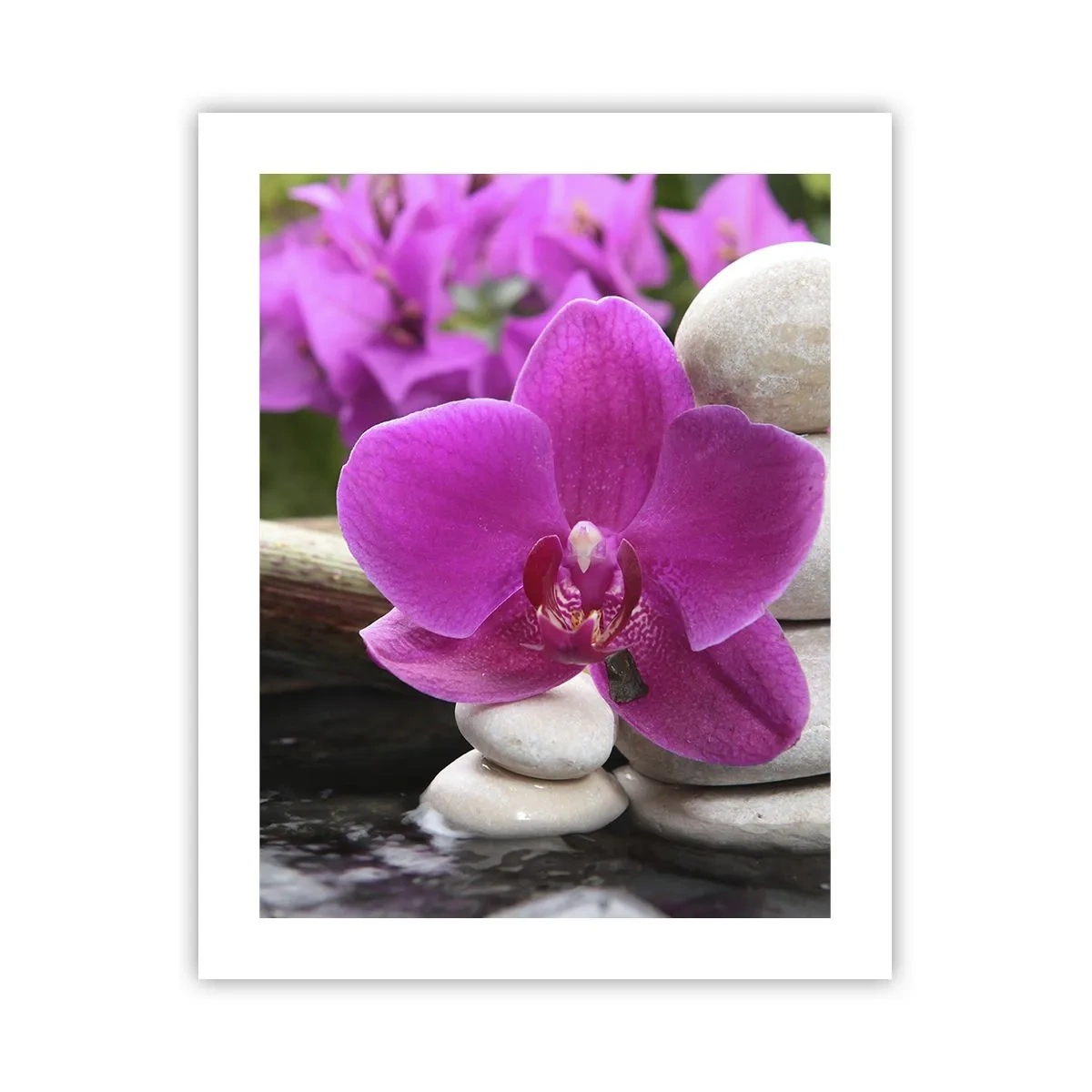 Poster - Du ruhst dich schon aus - 40x50 cm