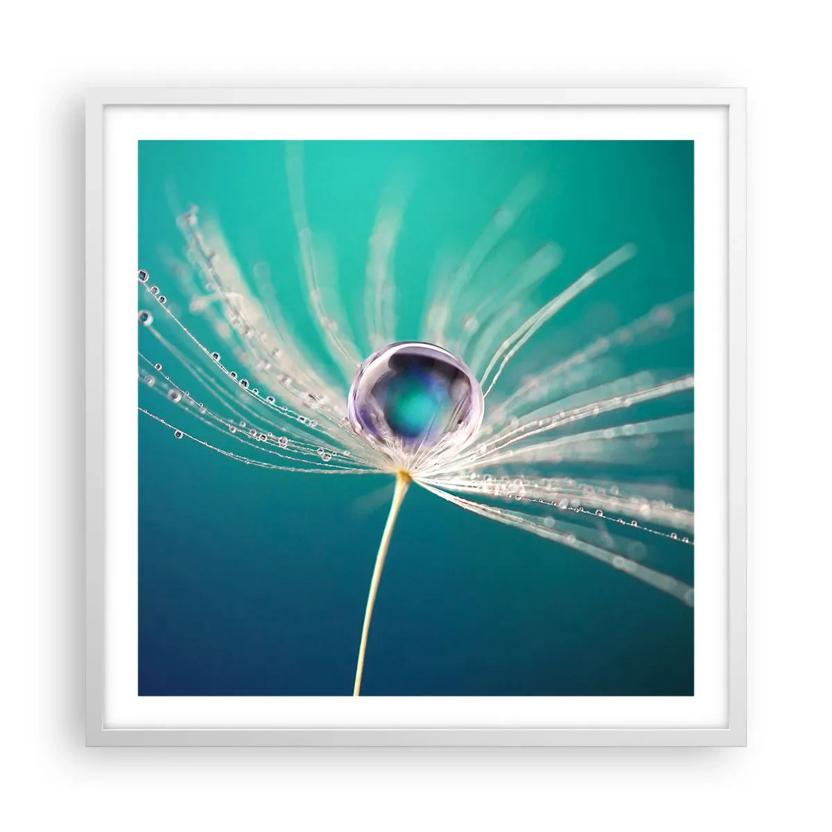 Poster in einem weißen Rahmen - Mystischer Moment - 60x60 cm