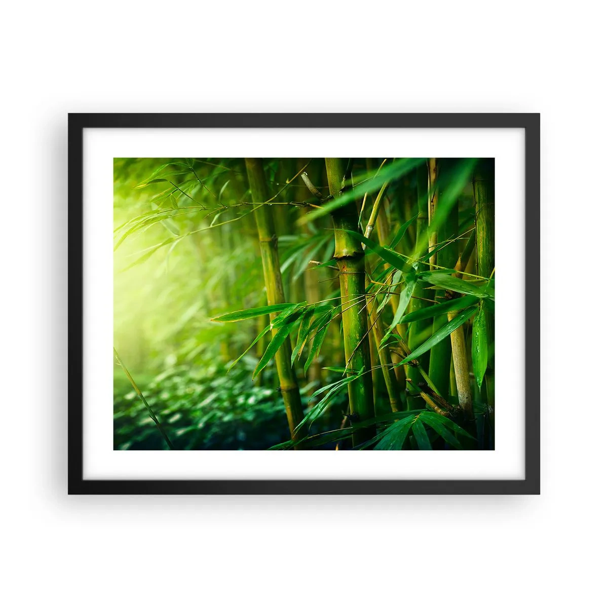 Poster in einem schwarzem Rahmen - Lerne Grün selbst kennen - 50x40 cm