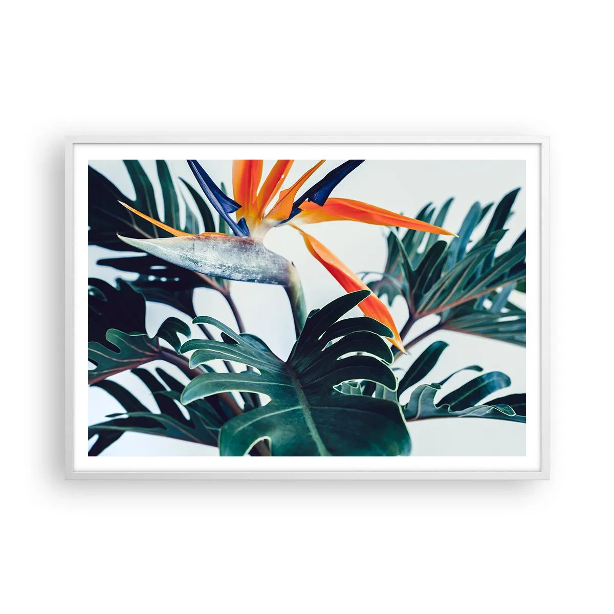 Poster in einem weißen Rahmen - Vogelbusch - 100x70 cm
