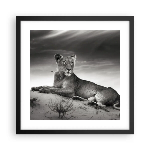 Poster in einem schwarzem Rahmen - Die Königin der Wüstenruhe - 40x40 cm