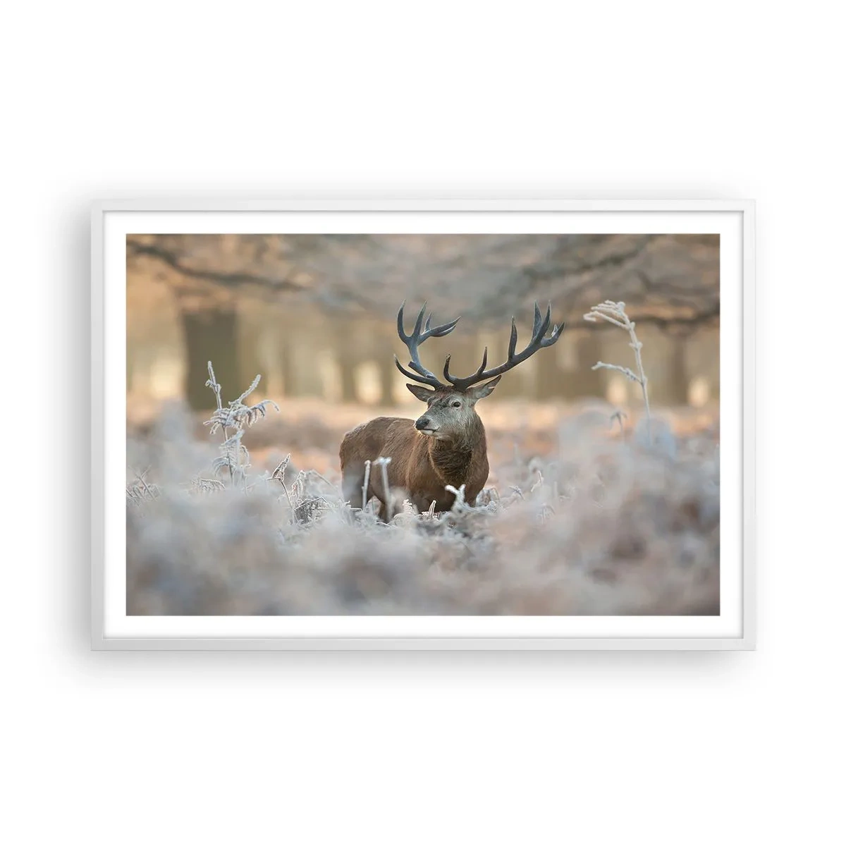 Poster in einem weißen Rahmen - Ein flotter Morgen - 91x61 cm