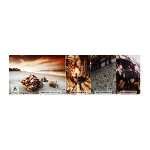 Fototapeten Muster Selbstklebend Deluxe Sticker - Ausgestoßene von Wellen - Landschaft, Meer, Muschel - 100x30 cm