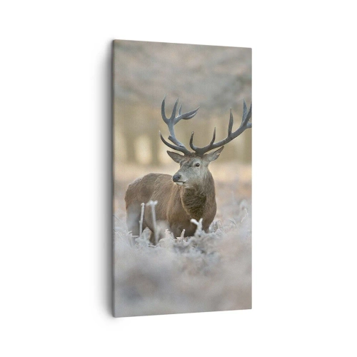 Bild auf Leinwand - Leinwandbild - Ein flotter Morgen - 45x80 cm