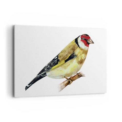 Bild auf Leinwand - Leinwandbild - Ein Vogel mit rotem Kopf auf einem Ast - 120x80cm - Vogelporträt - Moderne Wanddekoration für Wohnzimmer und Schlafzimmer ARTTOR