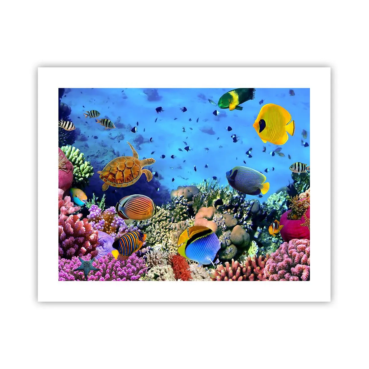 Poster - Und was wissen wir über das Leben ... - 50x40 cm