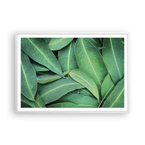 Poster in einem weißen Rahmen - Saftig und frisch - 100x70 cm