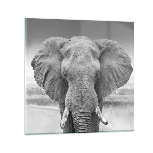 Glasbild - Bild auf glas - Willkommen in meiner Welt - 70x70 cm