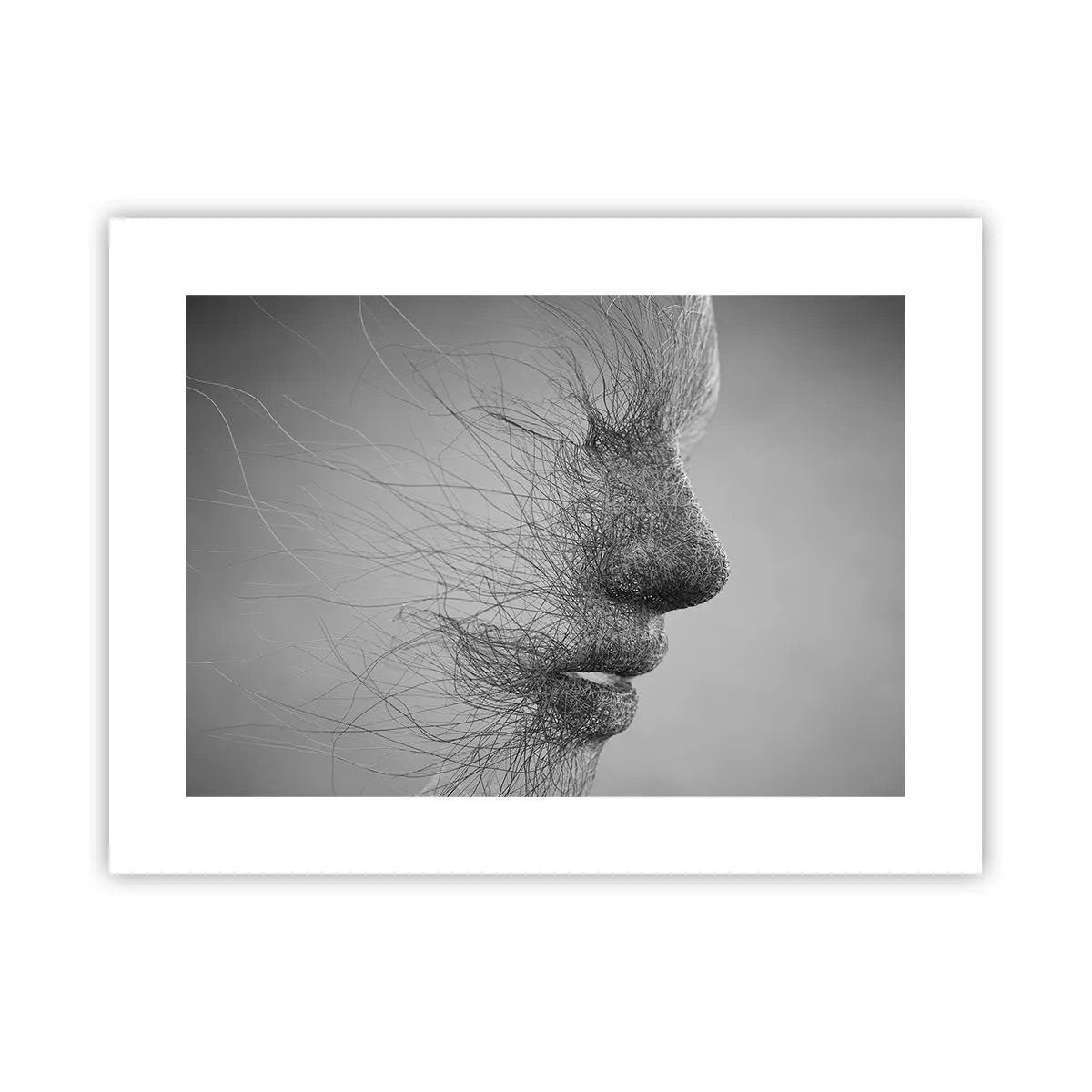 Poster - Der Geist des Windes - 40x30 cm