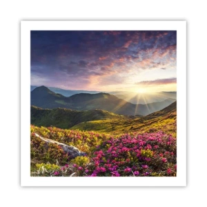Poster - Frische am Bergmorgen - 60x60 cm