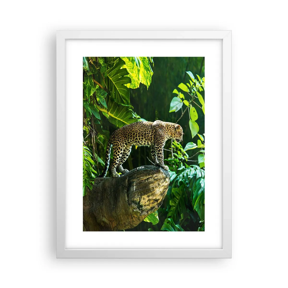 Poster in einem weißen Rahmen - Auf die Jagd? - 30x40 cm