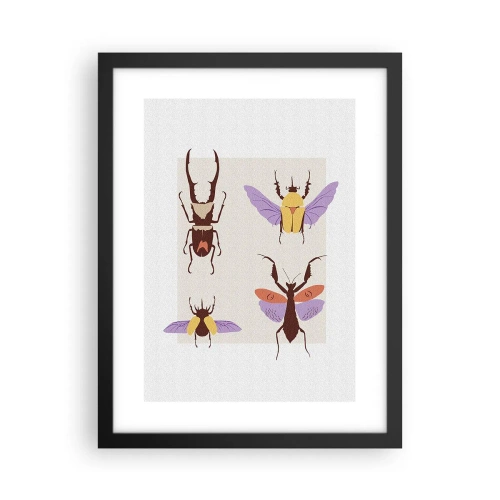 Poster in einem schwarzem Rahmen - Insektenwelt - 30x40 cm