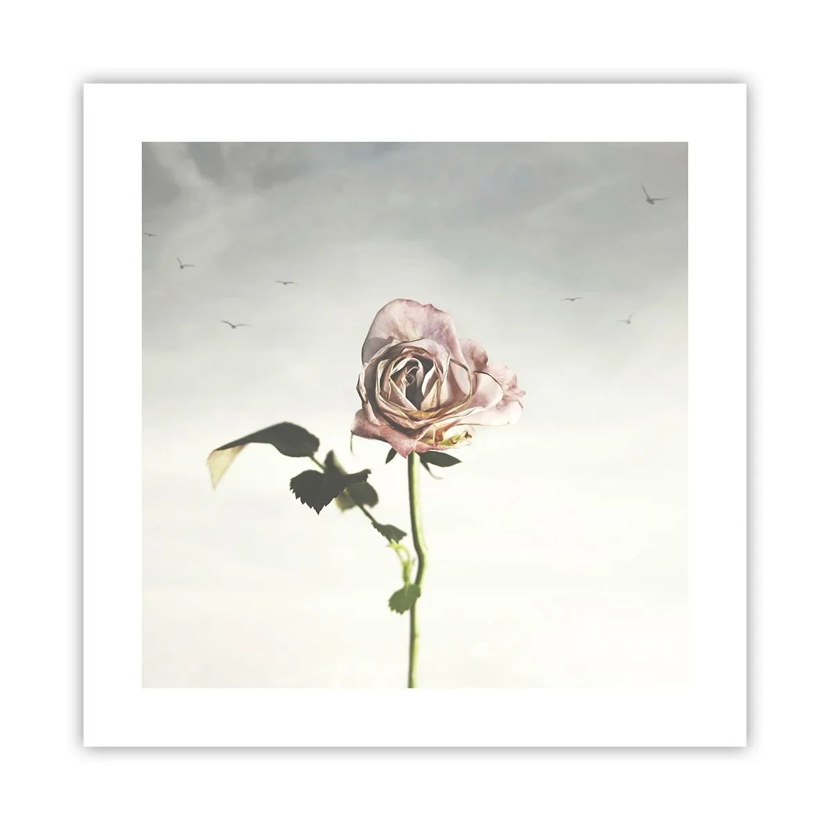Poster - Begrüßung des Frühlings - 40x40 cm