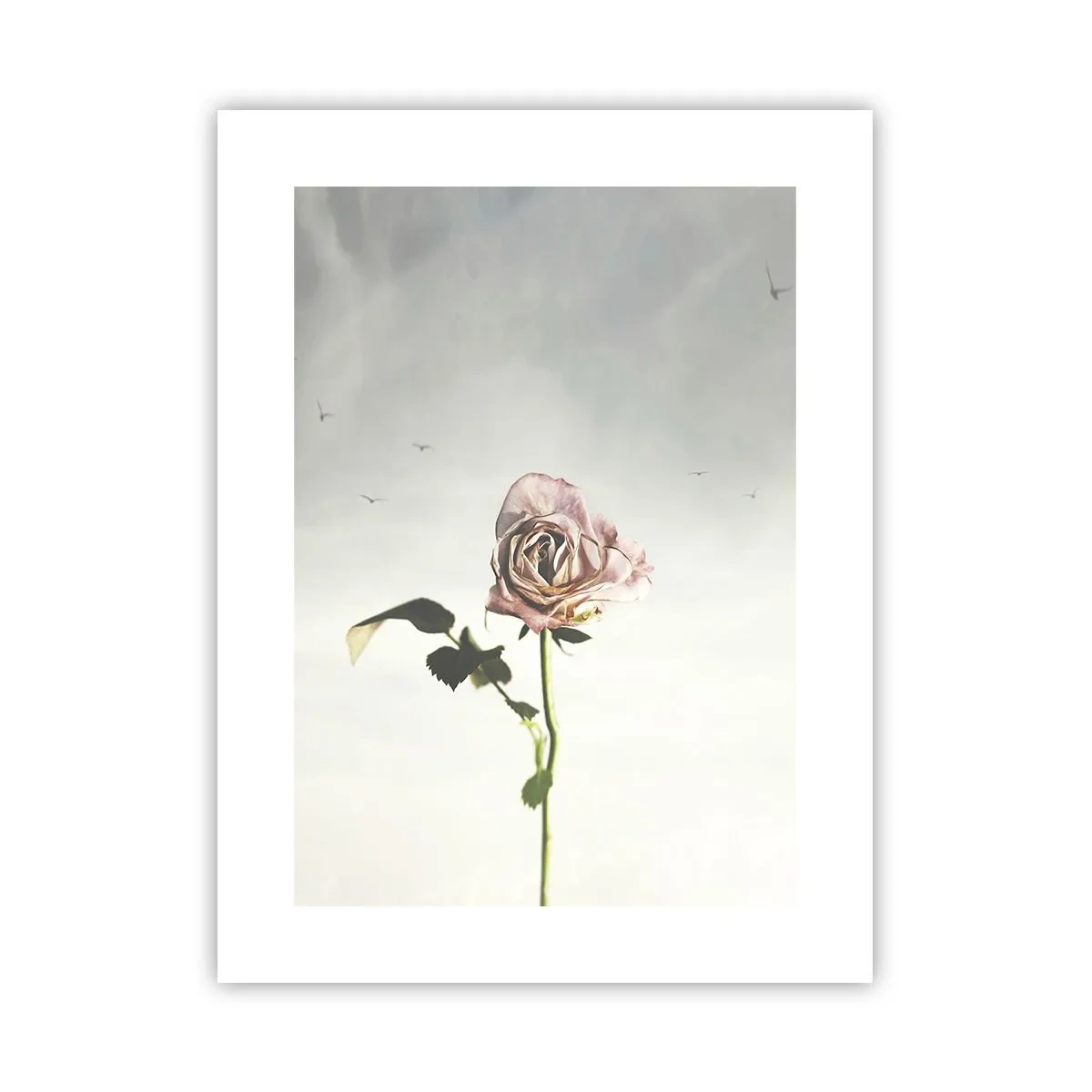 Poster - Begrüßung des Frühlings - 30x40 cm