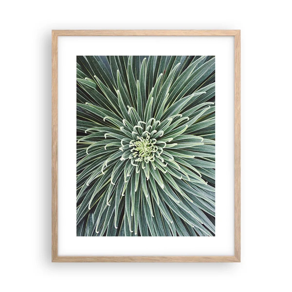 Poster in einem Rahmen aus heller Eiche - Ein Star ist geboren - 40x50 cm