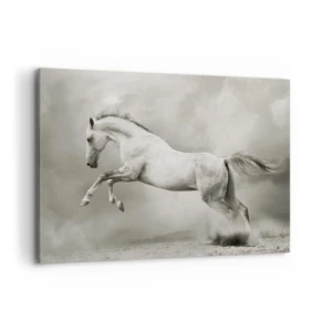 Bild auf Leinwand - Leinwandbild - Ein weißes Pferd in einem dynamischen Sprung vor dem Hintergrund nebliger Wolken. - 100x70cm - Zwischen Aufwachen und Schlafen - Moderne Wanddekoration für Wohnzimmer und Schlafzimmer ARTTOR