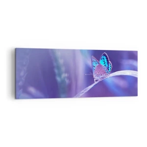 Bild auf Leinwand - Leinwandbild - Ein zarter blauer Schmetterling auf einem Stängel in violettem Licht - 140x50cm - Ein Juwel der Natur - Moderne Wanddekoration für Wohnzimmer und Schlafzimmer ARTTOR