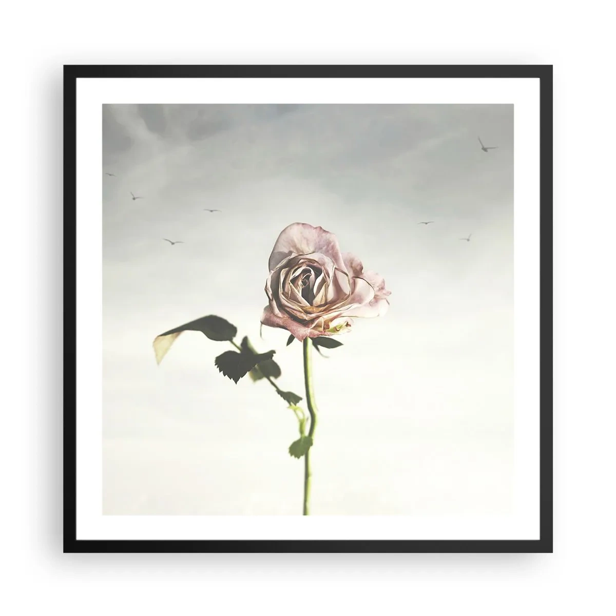 Poster in einem schwarzem Rahmen - Begrüßung des Frühlings - 60x60 cm
