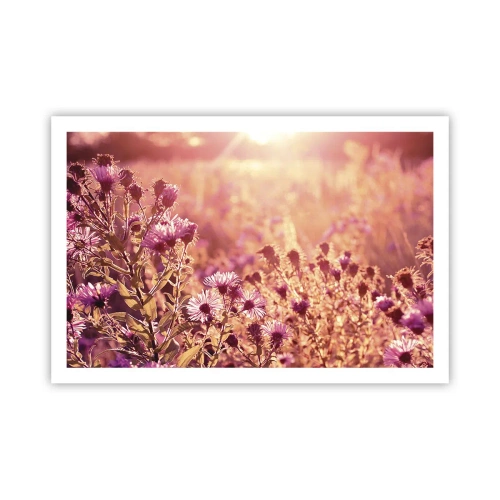 Poster - Bevor der Sommer vorbei ist - 91x61 cm