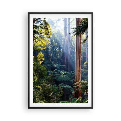 Poster in einem schwarzem Rahmen - Ein Waldmärchen - 61x91 cm