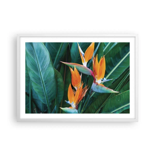 Poster in einem weißen Rahmen - Ist es eine Blume oder ist es ein Vogel? - 70x50 cm