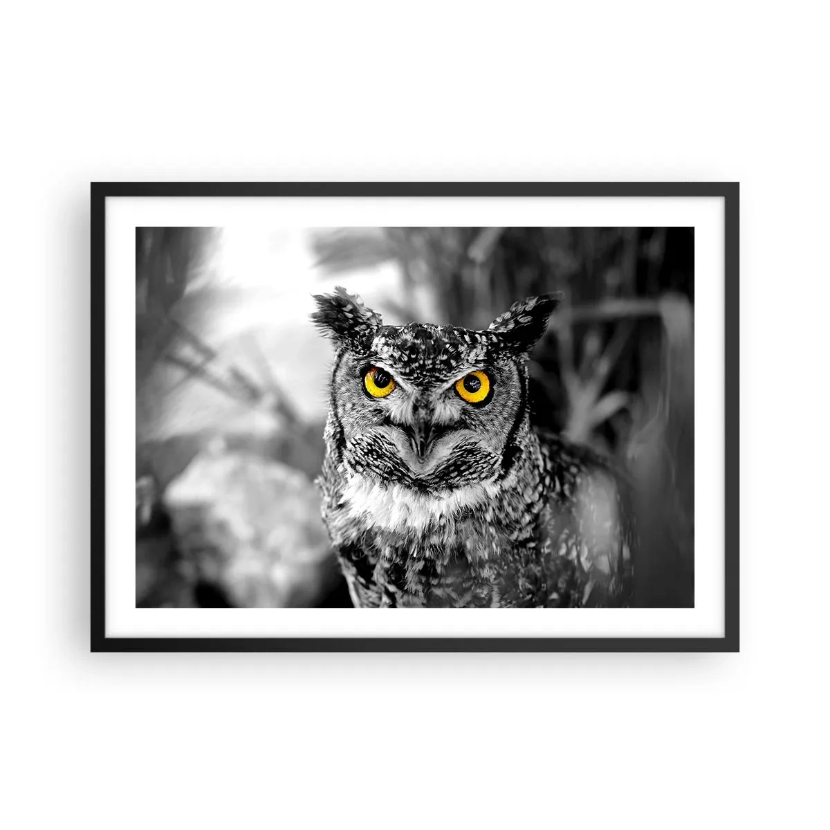 Poster in einem schwarzem Rahmen - Eine Schwarz-Weiß-Aufnahme einer Eule mit gelben Augen - 70x50cm - Nichts wird sich verstecken - Moderne Wanddekoration für Wohnzimmer und Schlafzimmer ARTTOR