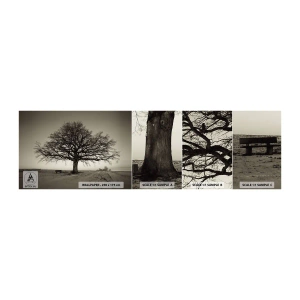 Fototapetenmuster Standard Eco - Von hier zu Ewigkeit - Landschaft, Baum, Natur - 100x30 cm