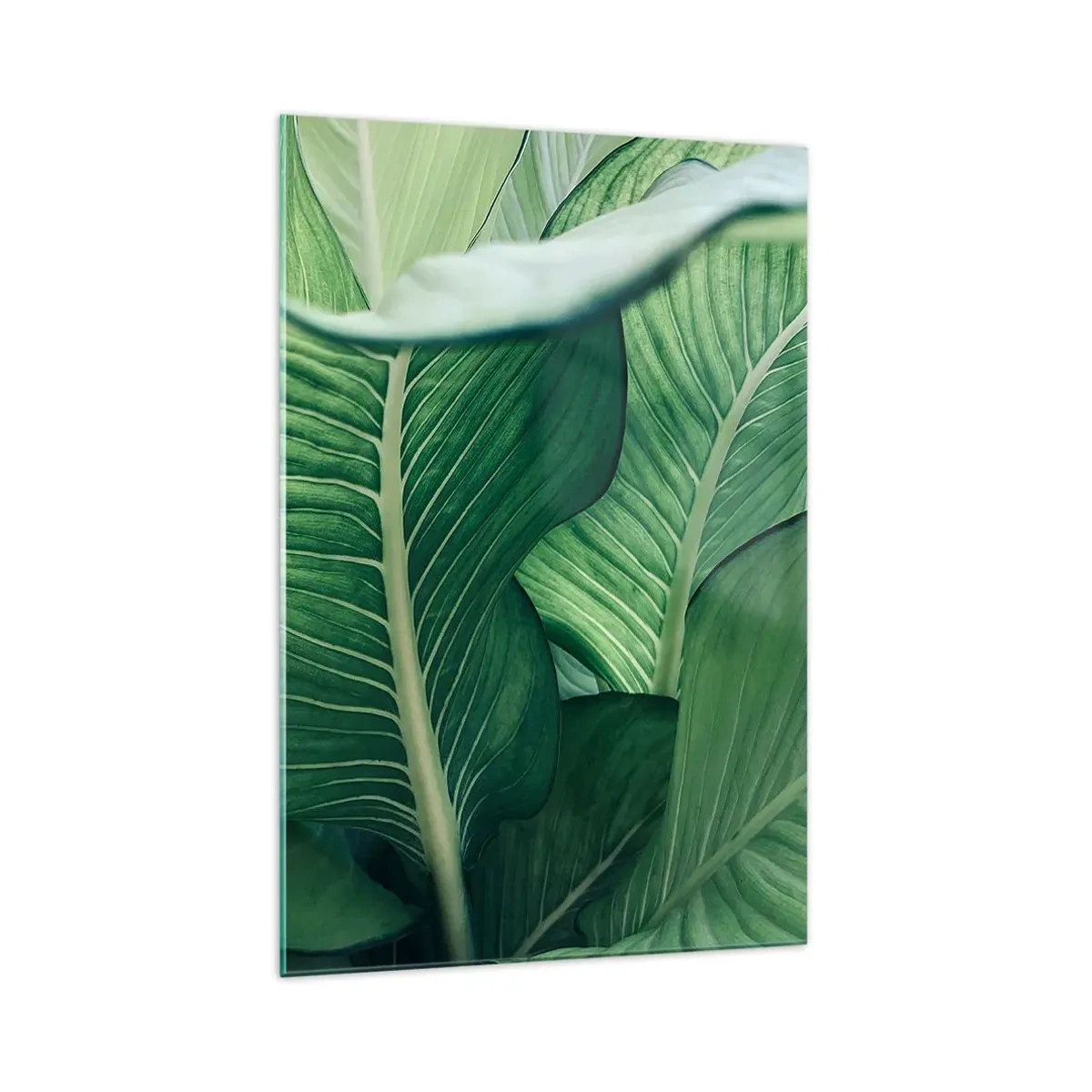 Glasbild - Bild auf glas - Grüne Blätter mit ausdrucksstarken Details und Struktur - 70x100cm - Intensiv grünes Leben - Moderne Wanddekoration für Wohnzimmer und Schlafzimmer ARTTOR