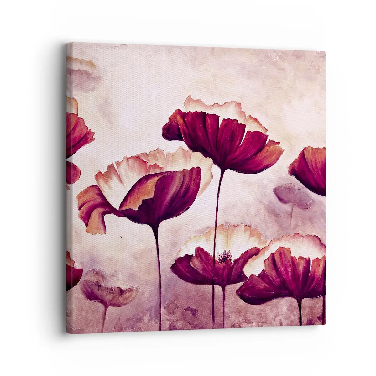 Bild auf Leinwand - Leinwandbild - Rotes und weißes Blütenblatt - 30x30 cm