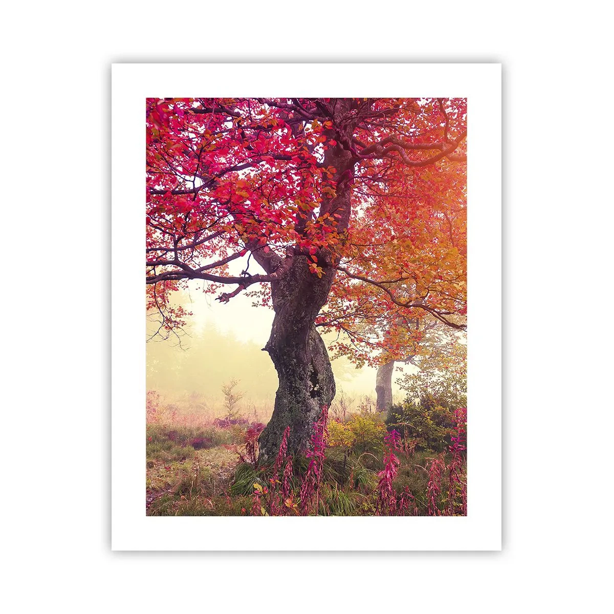 Poster - Blühende Raserei - 40x50 cm