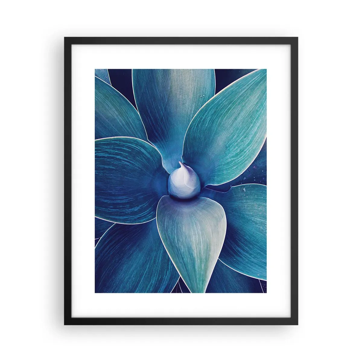 Poster in einem schwarzem Rahmen - Bläulich vom Himmel - 40x50 cm