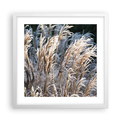 Poster in einem weißen Rahmen - Gekleidet mit Frost - 40x40 cm