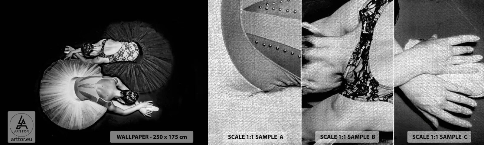 Fototapeten Muster Premium Canvas - Jin und Jang – perfekte Balance - Ballerina, Ballett, Tanzen - 100x30 cm