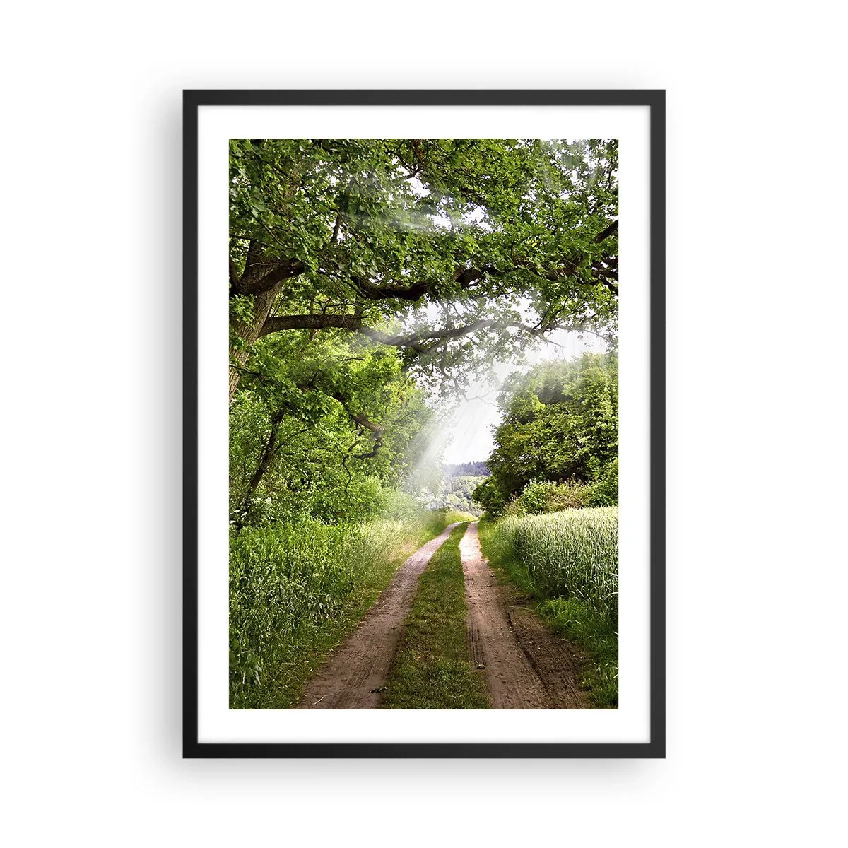Poster in einem schwarzem Rahmen - Eine schattige Schotterstraße, umgeben von üppigen grünen Bäumen und Wiesen - 50x70cm - Et in Arcadia ego - Moderne Wanddekoration für Wohnzimmer und Schlafzimmer ARTTOR