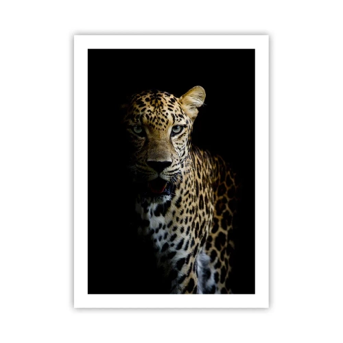 Poster - Ein Leopard vor dunklem Hintergrund mit lebendigen Felldetails. - 50x70cm - Dunkle Schönheit - Moderne Wanddekoration für Wohnzimmer und Schlafzimmer ARTTOR