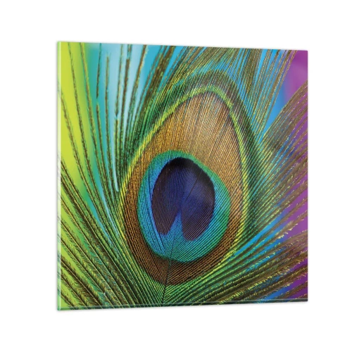 Glasbild - Bild auf glas - Auge in Auge - 30x30 cm