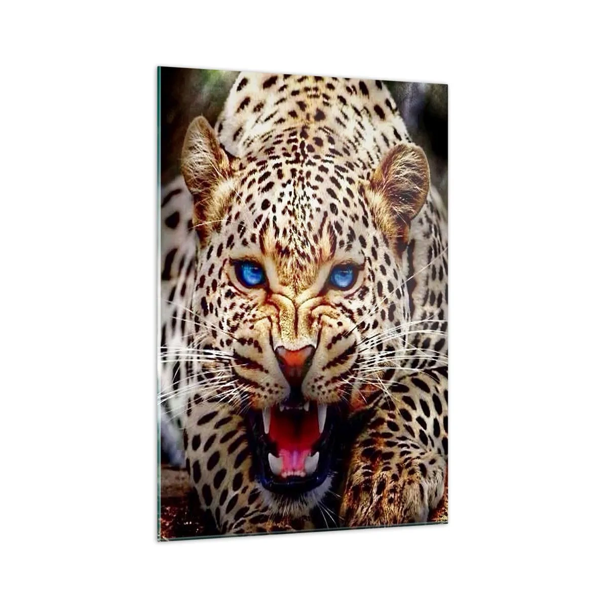 Glasbild - Bild auf glas - Ein bedrohlicher Leopard mit intensiv blauen Augen - 70x100cm - Schönheitswut tut nicht weh - Moderne Wanddekoration für Wohnzimmer und Schlafzimmer ARTTOR