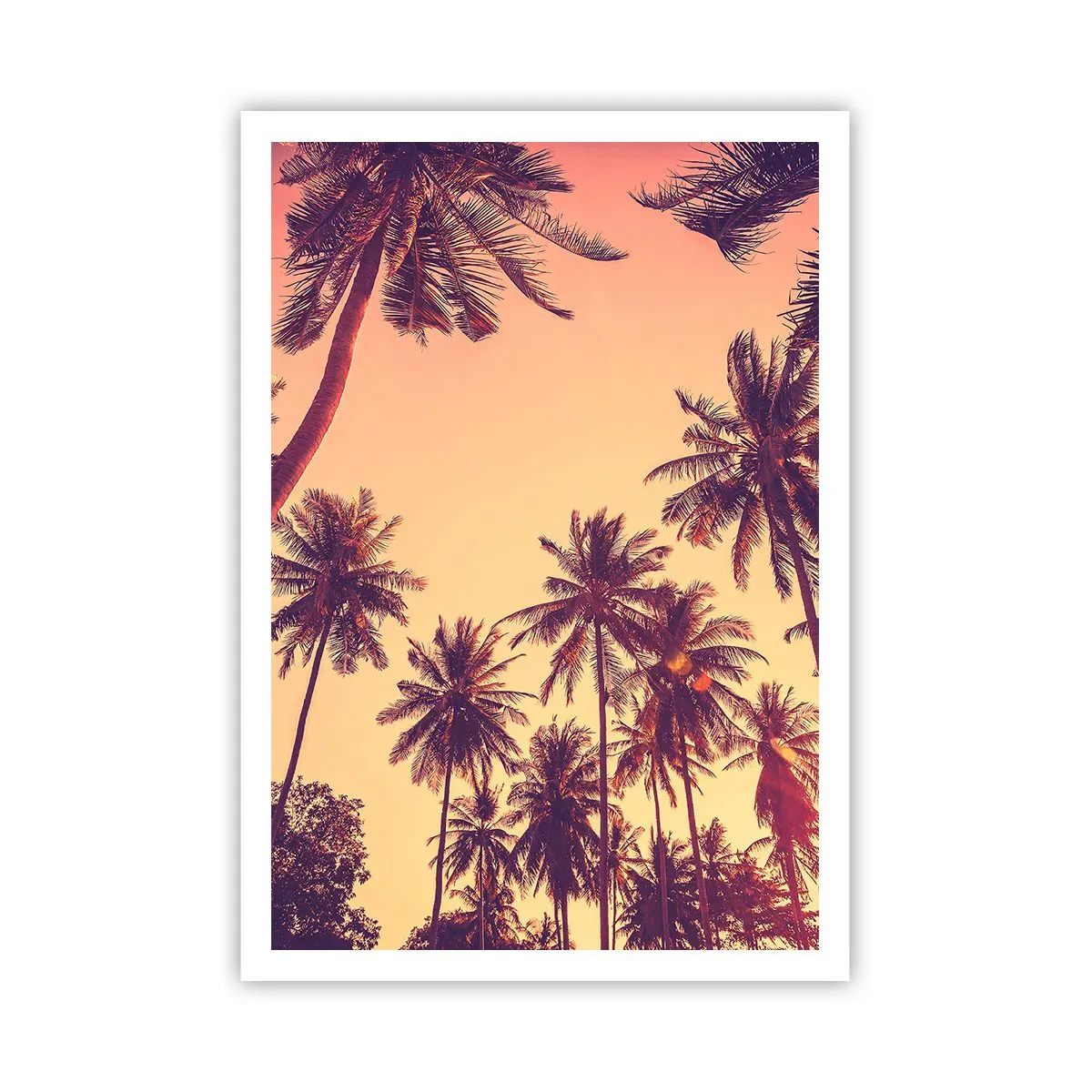 Poster - Tropische Variante - 70x100 cm