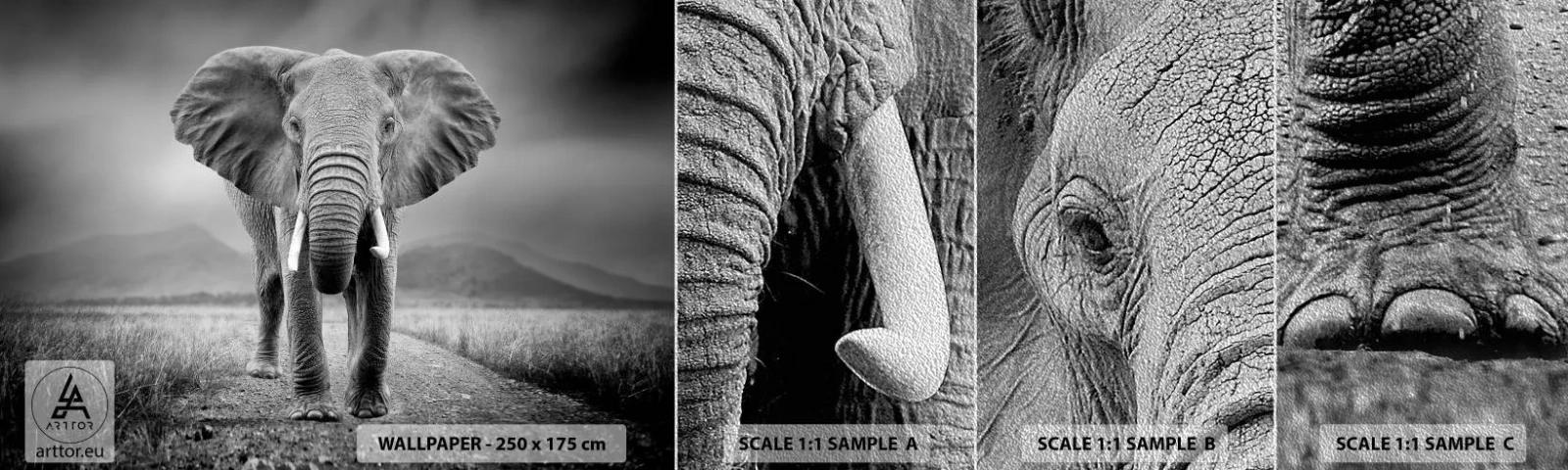 Fototapeten Muster Premium Sand - Der Gastgeber heißt willkommen - Elefant, Tiere, Landschaft - 100x30 cm