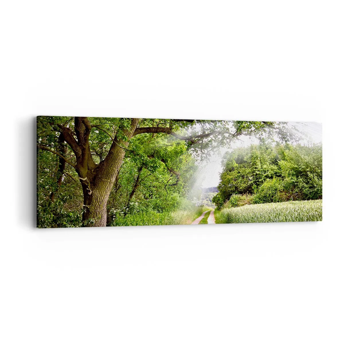 Bild auf Leinwand - Leinwandbild - Et in Arcadia ego - 90x30 cm
