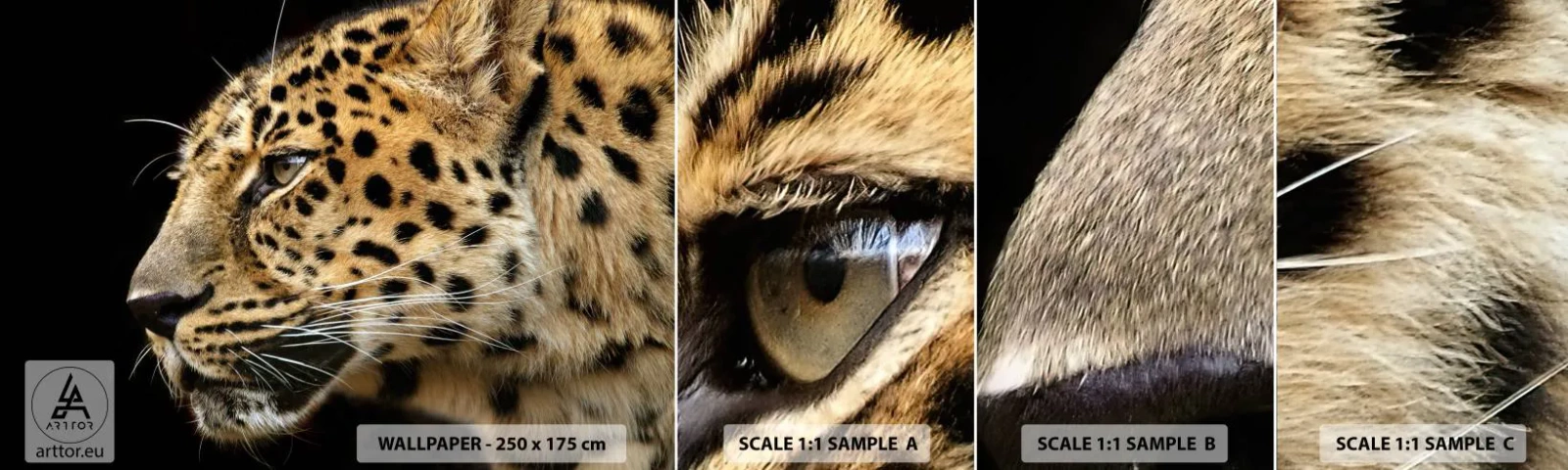 Fototapetenmuster Standard Eco - Ruhig, fokussiert, bereit - Tiere, Leopard, Afrika - 100x30 cm