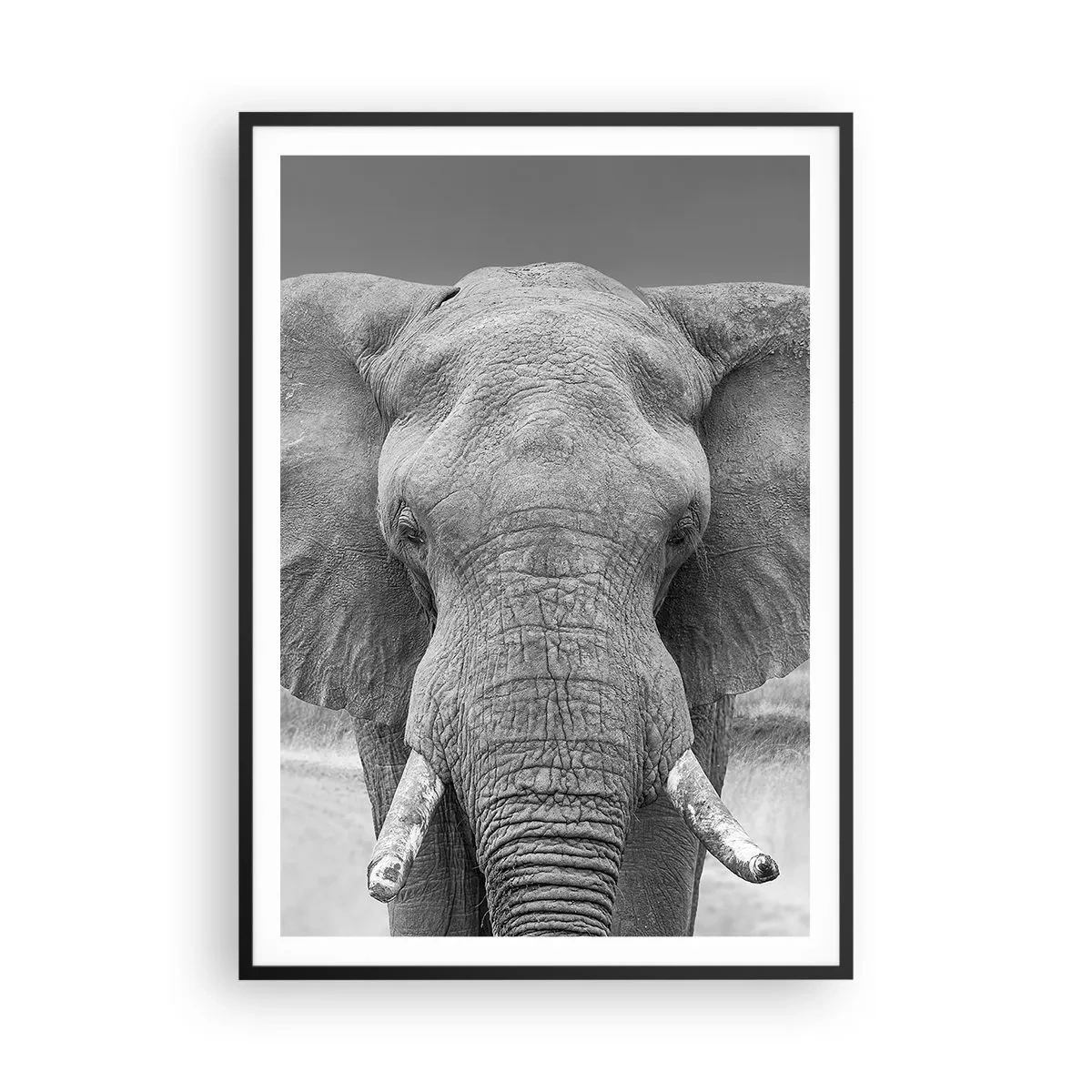 Poster in einem schwarzem Rahmen - Willkommen in meiner Welt - 70x100 cm