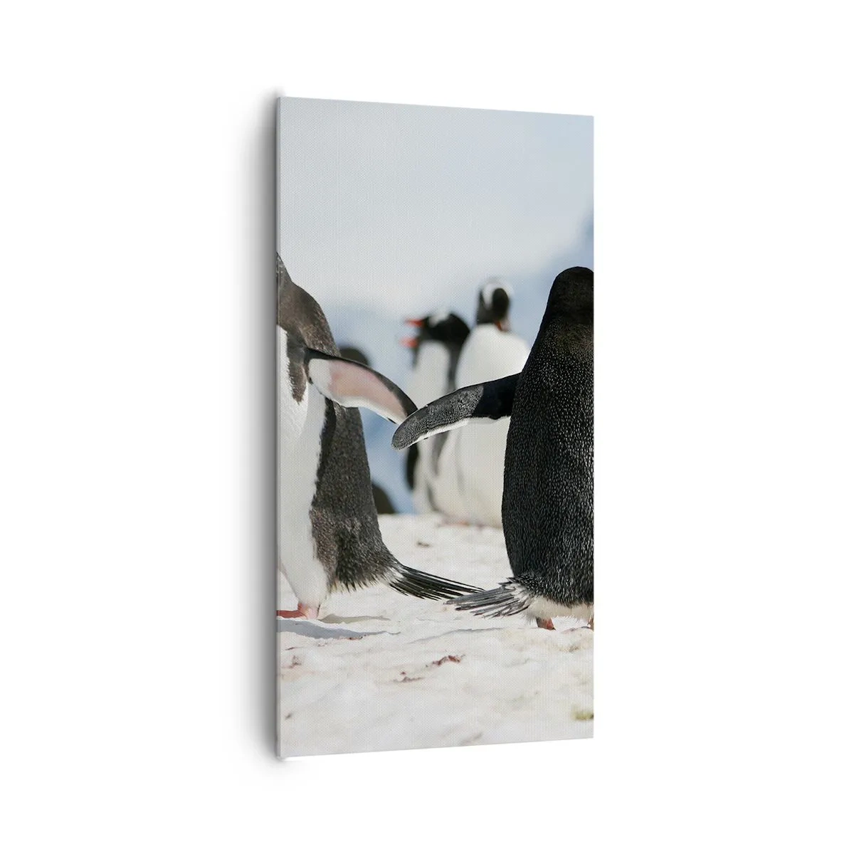 Bild auf Leinwand - Leinwandbild - Tanzen im Schnee - 65x120 cm
