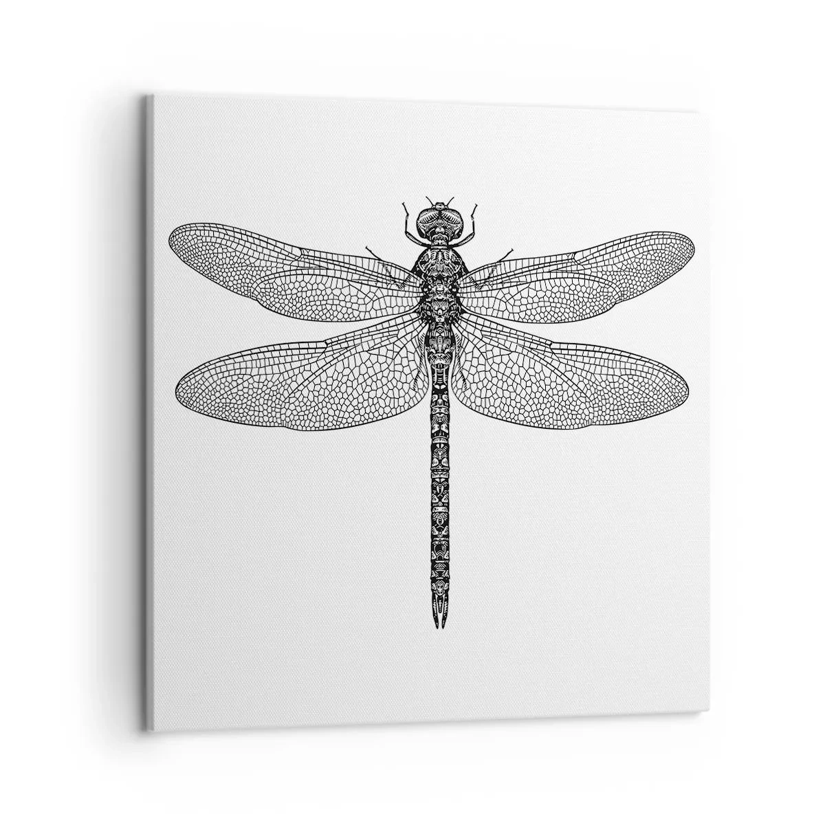 Bild auf Leinwand - Leinwandbild - Präzision der Natur - 50x50 cm