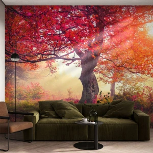 Selbstklebende Fototapete Deluxe Sticker - Blühende Raserei - Landschaft, Park, Blumen - 500x350 cm