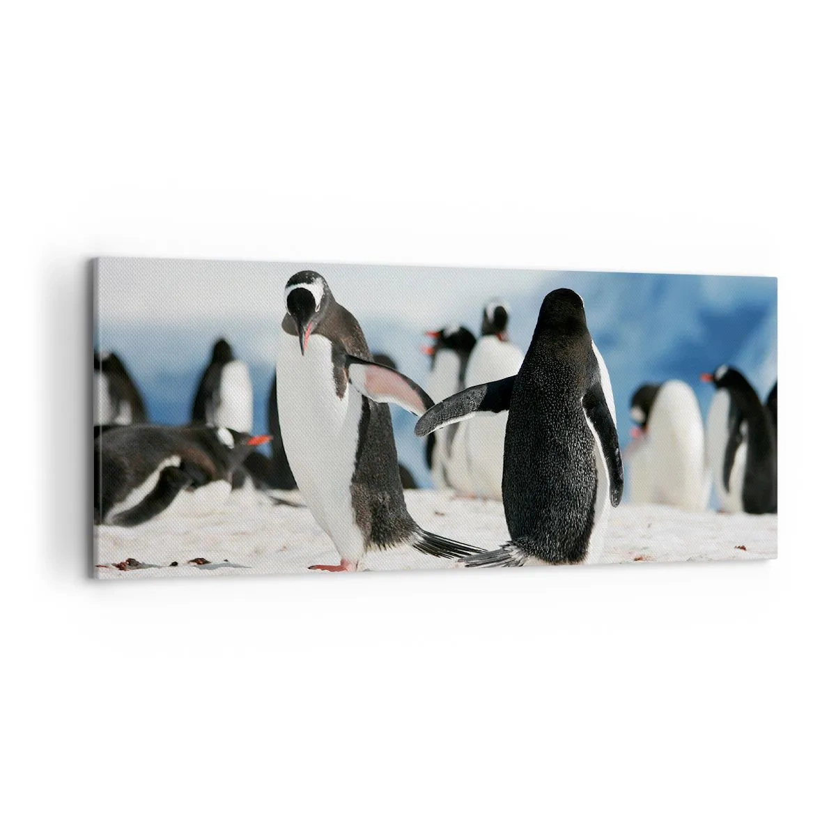 Bild auf Leinwand - Leinwandbild - Eine Gruppe Pinguine im Schnee in einer antarktischen Landschaft - 120x50cm - Tanzen im Schnee - Moderne Wanddekoration für Wohnzimmer und Schlafzimmer ARTTOR