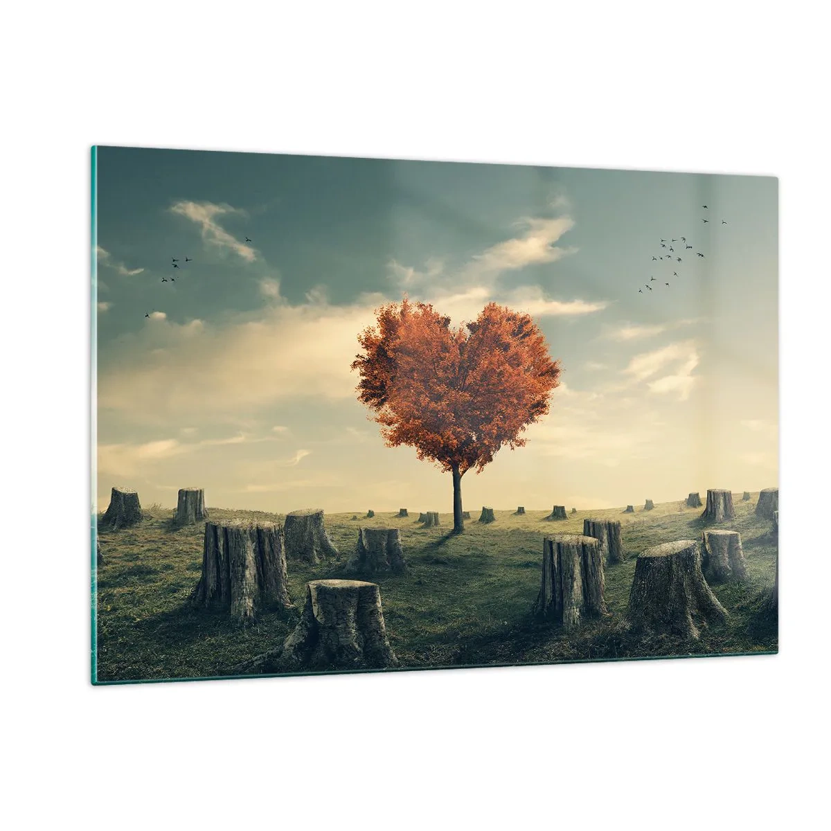 Glasbild - Bild auf glas - Ein herzförmiger Baum, umgeben von abgesägten Stämmen auf einer Lichtung - 120x80cm - Es gibt noch Hoffnung - Moderne Wanddekoration für Wohnzimmer und Schlafzimmer ARTTOR
